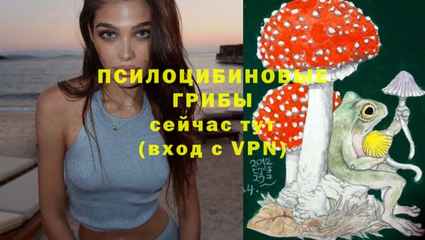 МДПВ Арсеньев